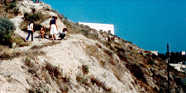 coline de murex au Liban1979
